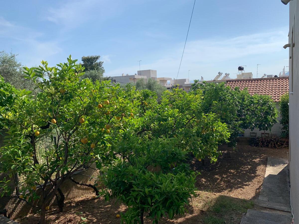Αβαντιάς Abantias Lejlighedshotel Loutra Edipsou  Eksteriør billede